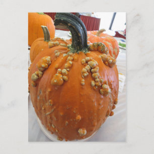 Warted Pumpkin Briefkaart