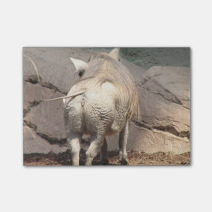 Warthog Behind Post-it® Notes