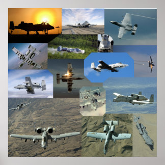 Warthog collectie poster