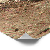 Warthog Poster (Hoek)