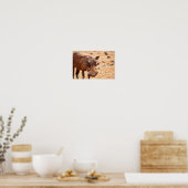 Warthog Poster (Keuken)