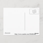 WARTHOGS - WILDE DIEREN BRIEFKAART (Achterkant)