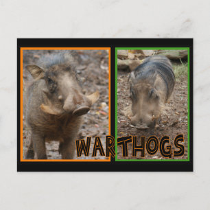 WARTHOGS - WILDE DIEREN BRIEFKAART