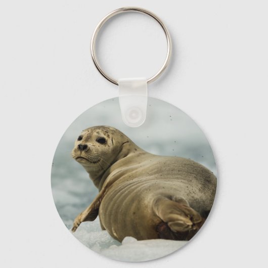 Wary Seal Sleutelhanger (Voorkant)