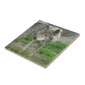 Wary Wolf Tile Tegeltje (Zijkant)