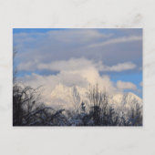 Wasatch Mountains - Utah - Carte postale (Devant)