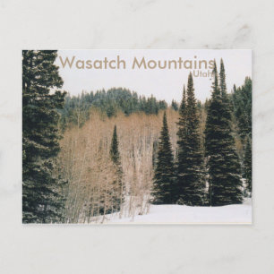 Wasatch Mountains Winter Scene Briefkaart