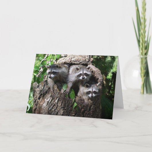 Wasbeer - de Drie Amigo's Kaart (Voorkant)