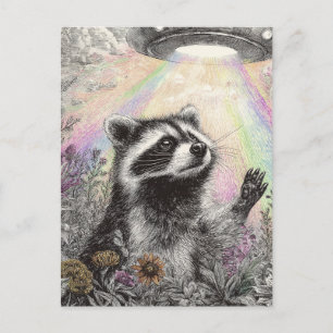 Wasbeer en een UFO Briefkaart
