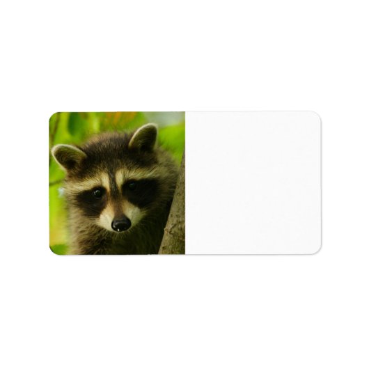 wasbeer etiket (Voorkant)