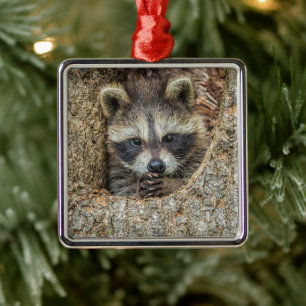 Wasbeer genesteld in een holle boom metalen ornament
