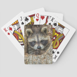 Wasbeer genesteld in een holle boom pokerkaarten