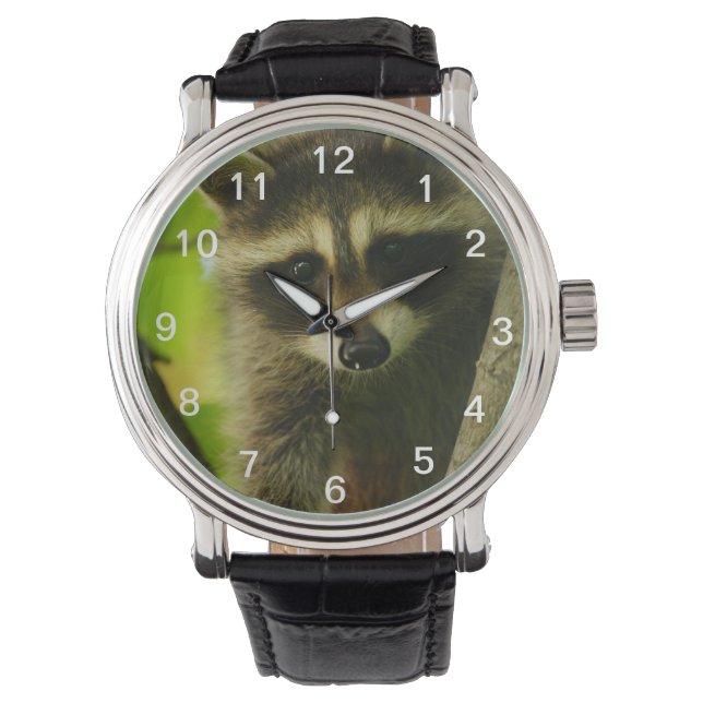 wasbeer horloge (Voorkant)