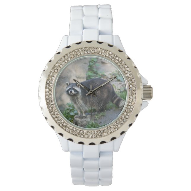 Wasbeer Horloge (Voorkant)