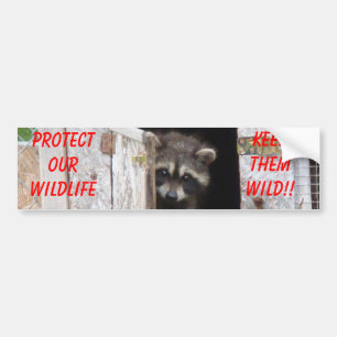 Wasbeer Houd Ze Wild!! Bumpersticker