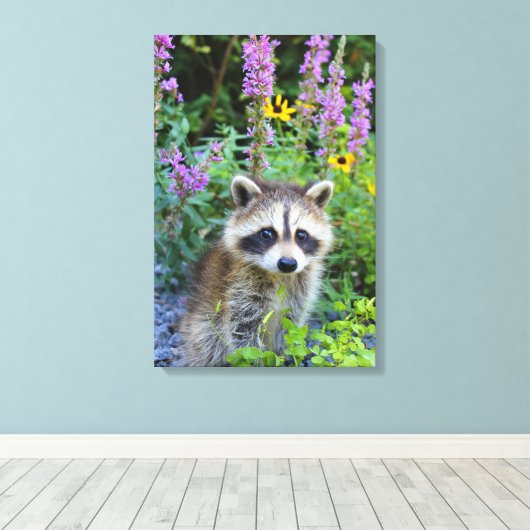 Wasbeer kit onder de bloemen canvas print. (Insitu (Houten vloer))