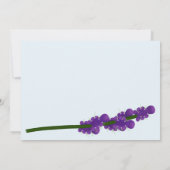 Wasbeer met lavendel. Gefeliciteerd Kaart (Achterkant)