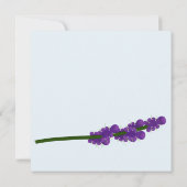 Wasbeer met lavendel. wasbeer kaart (Achterkant)