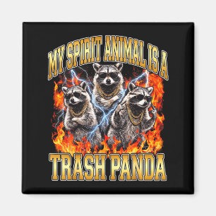Wasbeer Mijn Srit Dier Is Een Afvalpanda Grappige Magneet