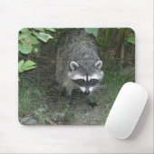 Wasbeer Muismat (Met muis)