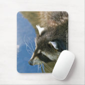 Wasbeer Muismat (Met muis)