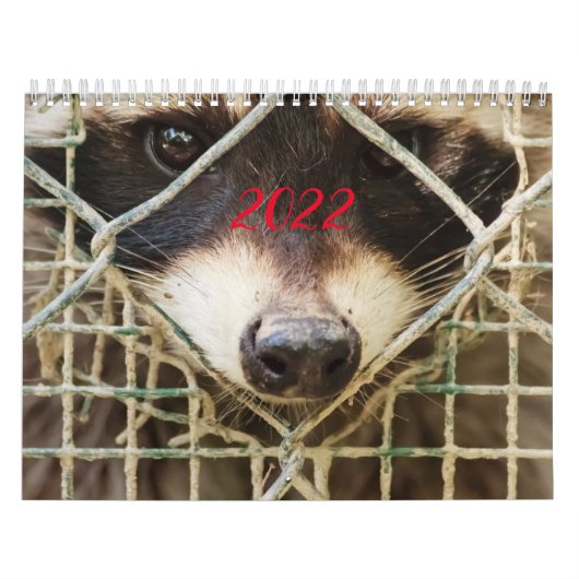 wasbeer op kalender (Hoes)