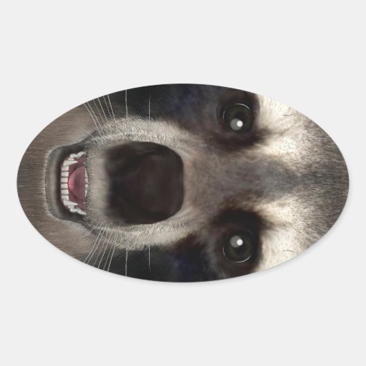 Wasbeer Ovale Sticker (Voorkant)