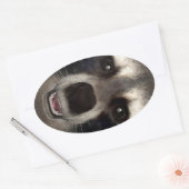 Wasbeer Ovale Sticker (Envelop)