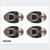 Wasbeer Ovale Sticker (Vel)