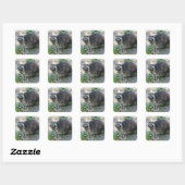 Wasbeer Stickers (Vel)