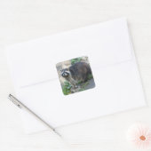 Wasbeer Stickers (Envelop)