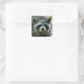 Wasbeer Stickers (Tas)