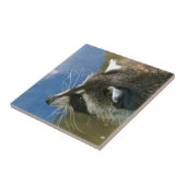 Wasbeer Tegeltje (Zijkant)