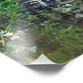 Wasbeerreflecties Foto Afdruk (Hoek)