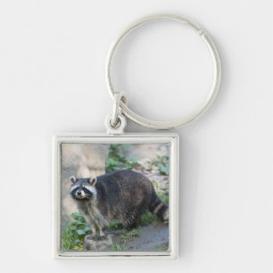 Wasbeesleutelhanger Sleutelhanger