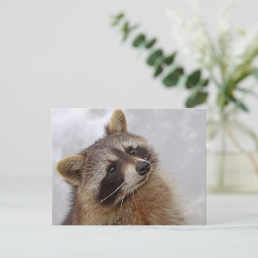 Waschbär Briefkaart (Staand voorkant)