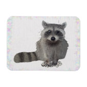 Waschbär Magneet (Horizontaal)