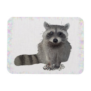 Waschbär Magneet