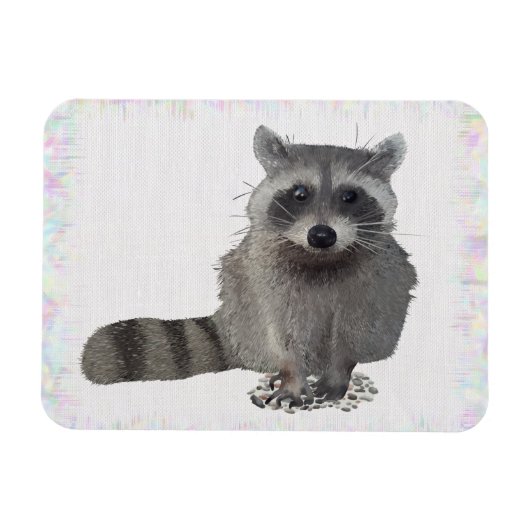 Waschbär Magneet (Horizontaal)