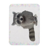 Waschbär Magneet (Verticaal)