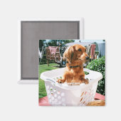 Wasdag Magneet (Voorkant / Achterkant)