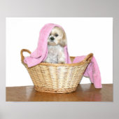 Washelper Poster (Voorkant)