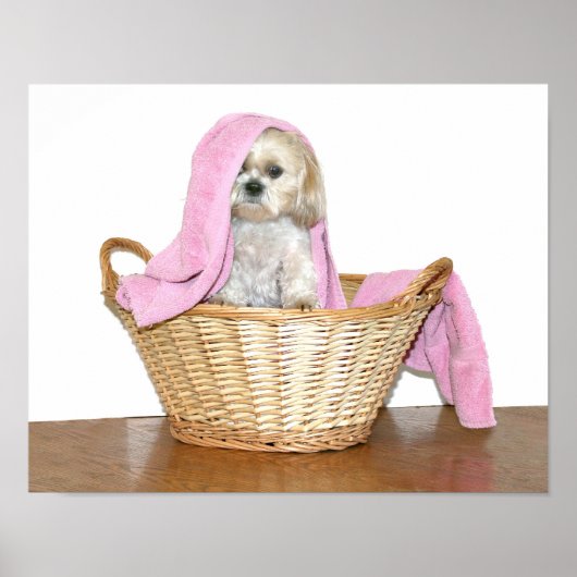 Washelper Poster (Voorkant)