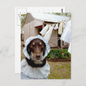 Washerder Briefkaart (Voorkant / Achterkant)