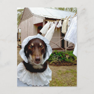 Washerder Briefkaart