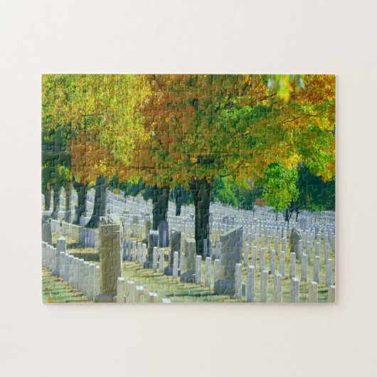 Washington Arlington Cemetery Legpuzzel (Horizontaal)