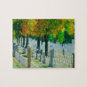 Washington Arlington Cemetery Legpuzzel