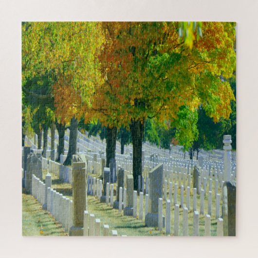 Washington Arlington Cemetery Legpuzzel (Verticaal)