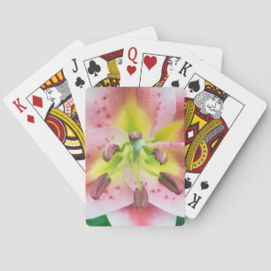 Washington, Bellevue, Lily Pokerkaarten