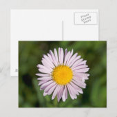 Washington, Cascade Range, Mount Baker Briefkaart (Voorkant / Achterkant)